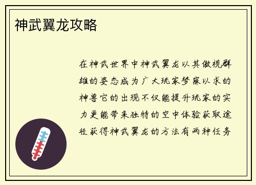 神武翼龙攻略