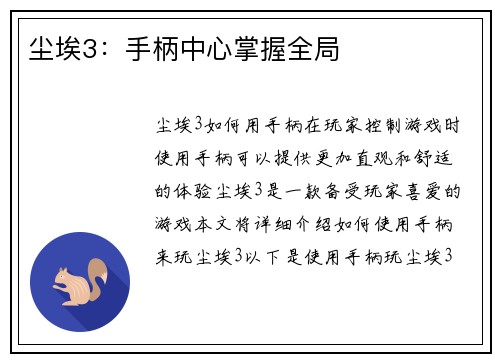 尘埃3：手柄中心掌握全局
